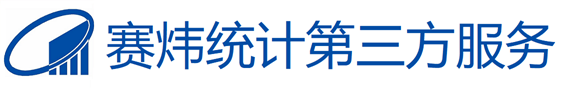 赛炜大数据服务有限公司